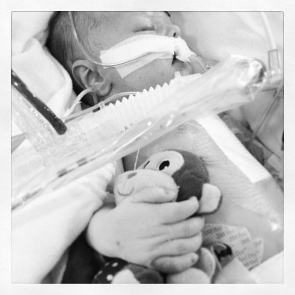 282978_606987036575_1992395234_n