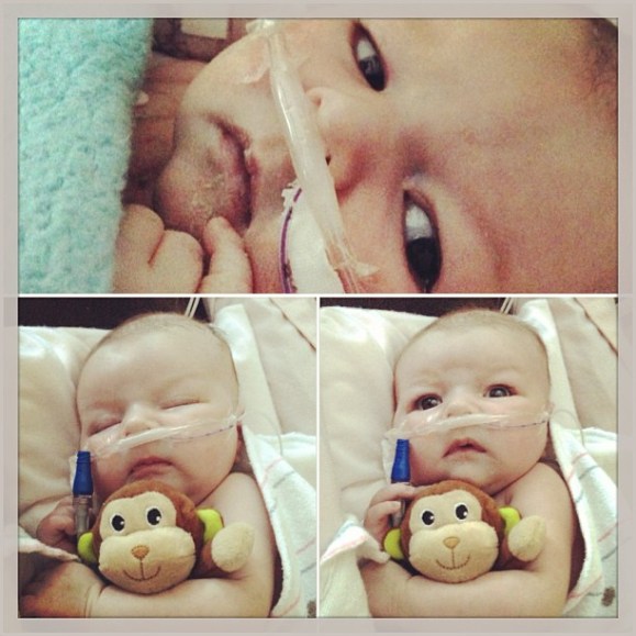 427340_611483630365_1657660802_n