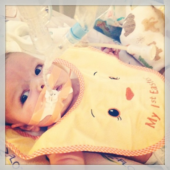 561360_616627502005_1662252238_n